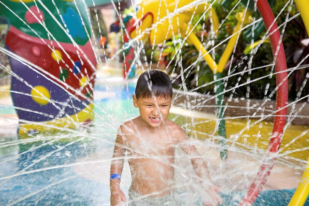 Hilton Garden Inn Cleveland/Twinsburg Fasiliteter bilde